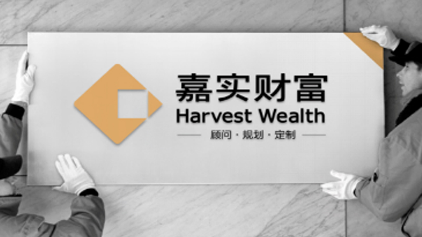 嘉实财富集团VI设计